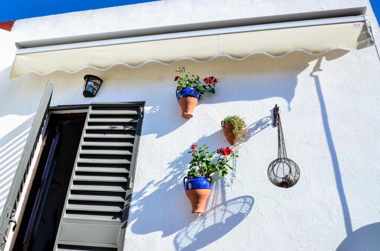 Alohamundi Campana Apartment Sevilla Exterior foto